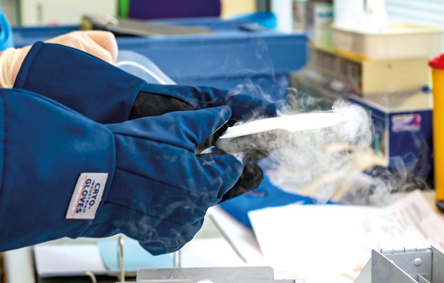 Laborarbeit mit Kryo-Handschuhen, Hand hält gefrorene Probe, kalter Dampf sichtbar, sichere Handhabung im Labor