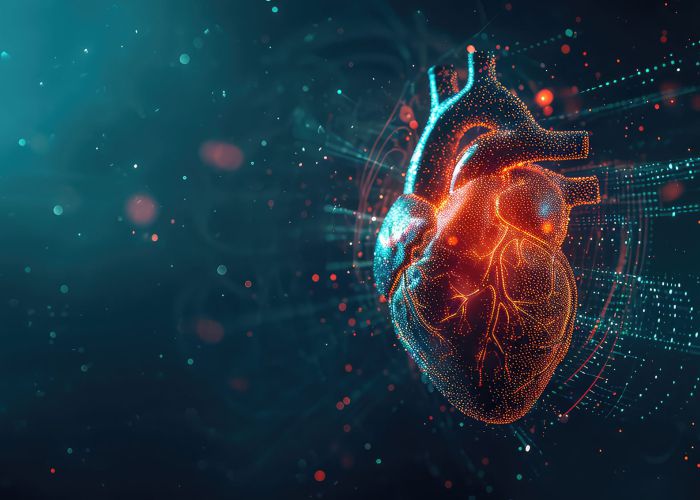 Digitale Visualisierung eines menschlichen Herzens, Symbolbild für interventionelle Kardiologie und Herzinsuffizienztherapie