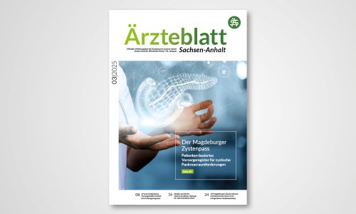 Titelseite Ärzteblatt Sachsen-Anhalt Ausgabe 03/2025, Magdeburger Zystenpass mit digitalem Pankreasbild
