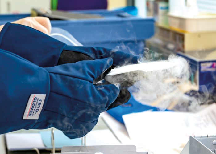 Laborhandschuhe mit Kryotechnik halten gekühlte Probe, medizinische Forschung und Laborarbeit mit Trockeneis-Nebel