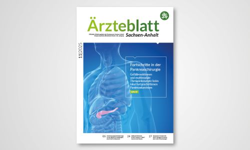 Titelblatt Ärzteblatt Sachsen-Anhalt 11/2025 mit Schwerpunkt Pankreaschirurgie und Grafik der Bauchspeicheldrüse.
