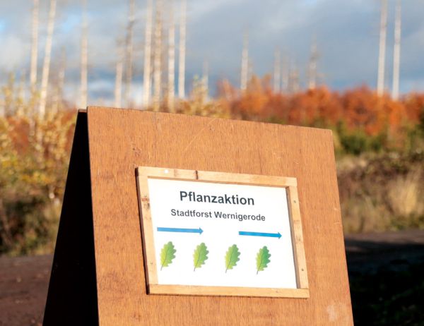 Sitzung der Ärztekammer mit zahlreichen Teilnehmern an Tischen, Vortragendem am Podium und Präsentation im Konferenzraum.