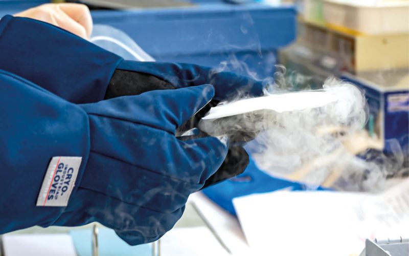 Laborarbeit mit Kryo-Handschuhen, Hand hält gefrorene Probe, kalter Dampf sichtbar, sichere Handhabung im Labor