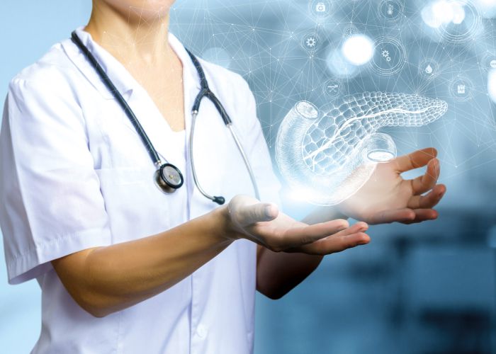Ärztin mit Stethoskop visualisiert digitale 3D-Darstellung der Bauchspeicheldrüse, moderne Diagnostik und Telemedizin