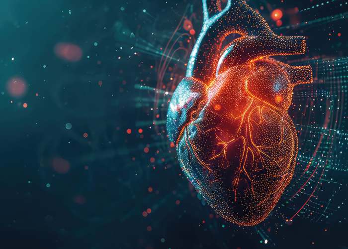 Abstrakte, digitale Darstellung eines menschlichen Herzens als Symbol für Herzfunktion, Kardiologie und moderne Medizin.