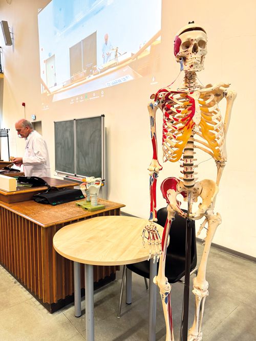 Anatomievorlesung mit Skelettmodell und Dozent, genutzt zur medizinischen Ausbildung und Veranschaulichung von Knochenstrukturen.