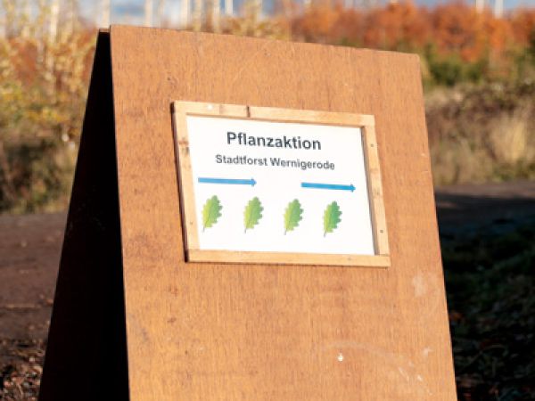 Holzschild mit Hinweis auf Pflanzaktion im Stadtforst Wernigerode, organisiert von Heilberufen für Gesundheit und Umwelt.