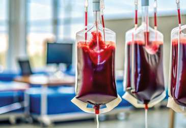 Mehrere Blutkonserven hängen an Infusionsständern in einem klinischen Behandlungsraum zur medizinischen Versorgung.