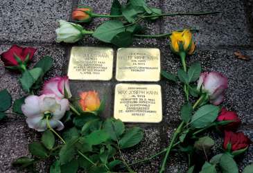 Stolpersteine mit Rosen als Gedenken an Opfer des Nationalsozialismus – Symbol für Erinnerung und Mahnung.