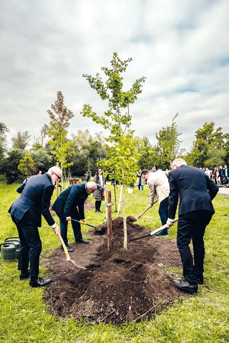 Teilnehmer pflanzen gemeinsam einen Baum im Park des Dankens als Zeichen der Wertschätzung für Organspender.