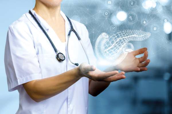 Arzt in weißem Kittel hält grafische Darstellung einer Bauchspeicheldrüse zwischen den Händen, Symbol für medizinische Diagnostik.