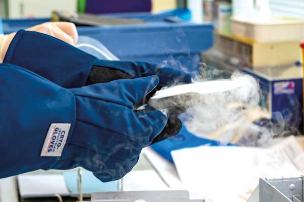 Laborhandschuhe halten ein stark heruntergekühltes, dampfendes Probengefäß während einer kryogenen Laboranwendung.